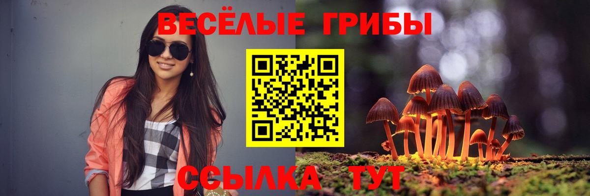 Галлюциногенные грибы ЛСД  Галлюциногенные грибы Magic Shrooms  сколько стоит  Коломна  Вход с VPN 